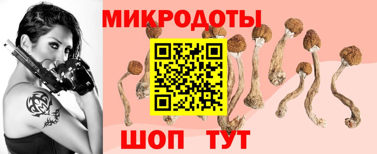 Ревда  Псилоцибиновые грибы GOLDEN TEACHER  Вход с VPN 